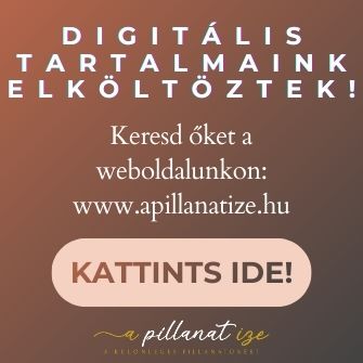 A pillanat íze Shop