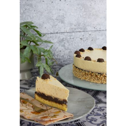 Sós kesudió torta áfonyás datolya krémmel recept